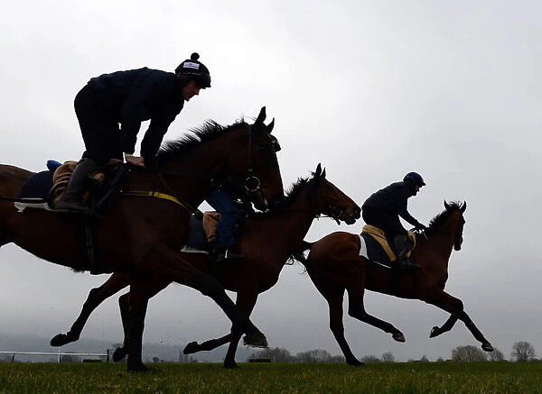 Racehorses out for a morning gallop