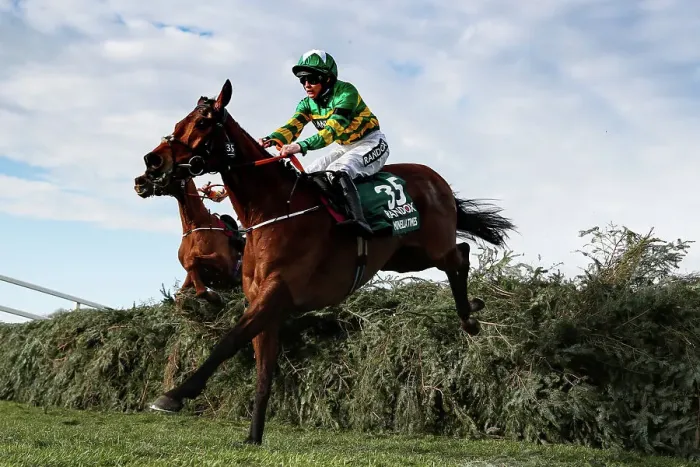 Framed Print : Rachael Blackmore wins the Grand National on Minella Times