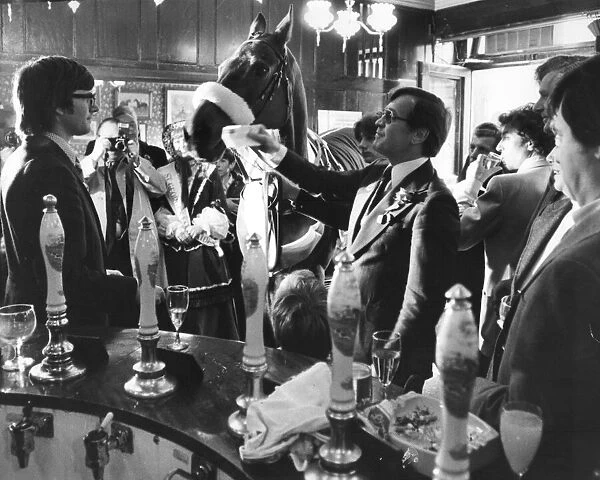 Red Rum in the pub. The racehorse Red Rum and pub goers in the Public House