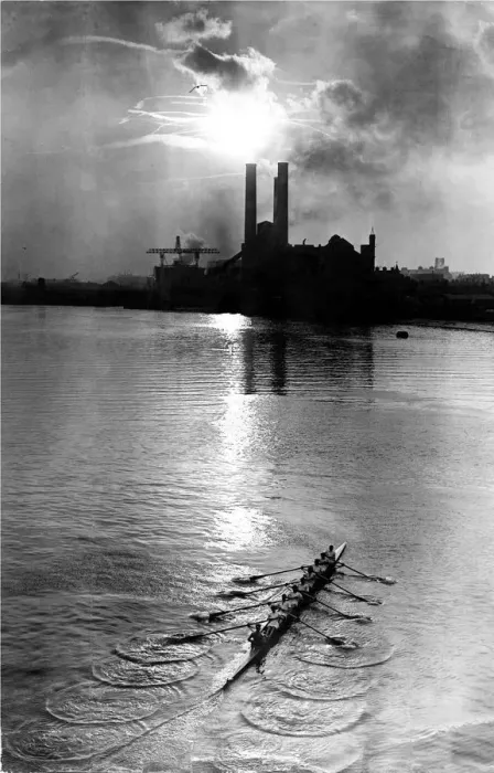 Framed Print : Rowers on the River Thames Framed Print : Rowers on the River Thames