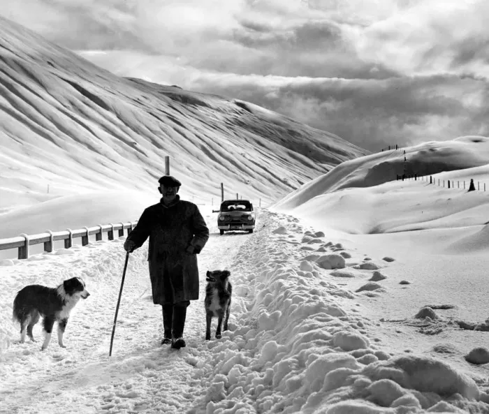 Framed Print : Shepherd in the snow Framed Print : Shepherd in the snow