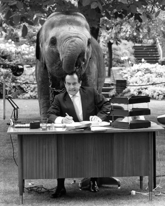 Framed Print : Spanish mime artist Alberto Vidal appearing at London Zoo with an elephant Framed Print : Spanish mime artist Alberto Vidal appearing at London Zoo with an elephant