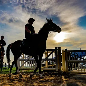 2025 Grand National Aintree