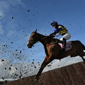 Action shot Cheltenham Festival week Action shot Cheltenham Festival week