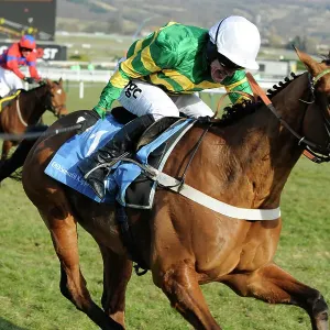 AP McCoy wins the Champion Hurdle on Binocular at Cheltenham 2010 AP McCoy wins the Champion Hurdle on Binocular at Cheltenham 2010