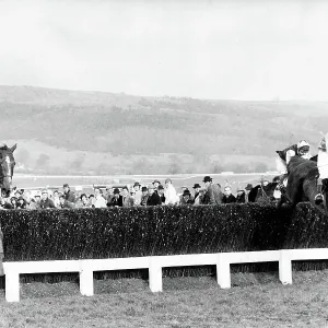 Cheltenham Gold Cup Print 1983 Cheltenham Gold Cup Print 1983