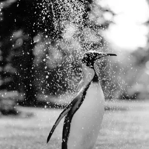 Cooling Off