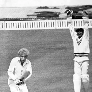 David Gower falls lbw to the delight of Indian wicketkeeper Bharath Reddy