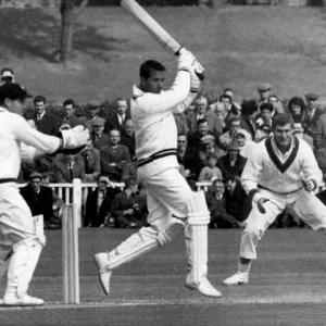 Basil D Oliveira Print - Worcestershire Cricket 1964 Basil D Oliveira Print - Worcestershire Cricket 1964