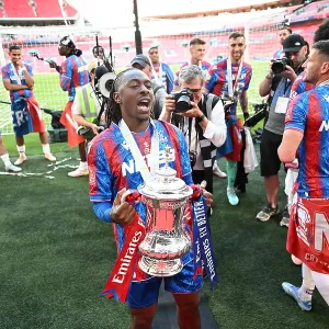 FA Cup Final 2025 Crystal Palace 1 Manchester City 0 Wembley FA Cup Final 2025 Crystal Palace 1 Manchester City 0 Wembley