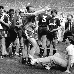 FA Cup Final Celebrations Print 1989 FA Cup Final Celebrations Print 1989