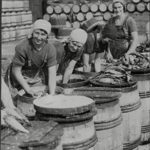 Fish packers in 1933 Fish packers in 1933