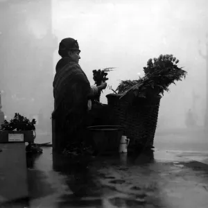 Flower Seller Flower Seller