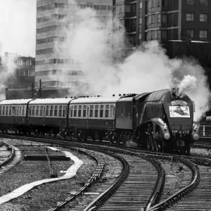 The Flying Scotsman Print The Flying Scotsman Print