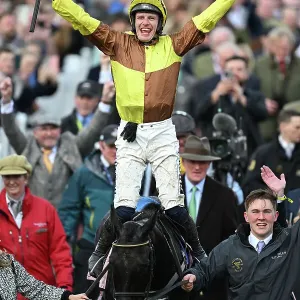 The Gold Cup is won by Paul Townend on Galopin Des Champs Cheltenham Festival week The Gold Cup is won by Paul Townend on Galopin Des Champs Cheltenham Festival week