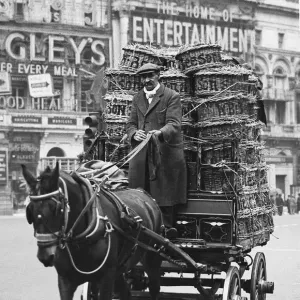 A horse drawn cart in Piccadilly Circus, 1939 A horse drawn cart in Piccadilly Circus, 1939