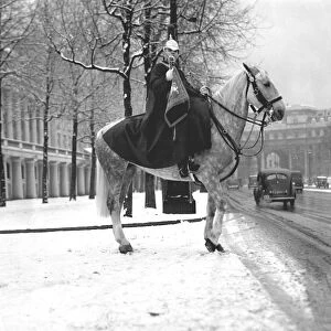 Horse guard in the snow