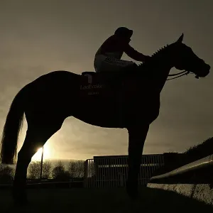 The King George V1 Chase Kempton Park Allaho stands at the last in the King George V1 before the race The King George V1 Chase Kempton Park Allaho stands at the last in the King George V1 before the race