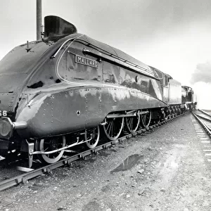 The Mallard, steam engine