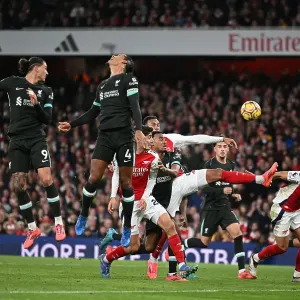 Merino goal