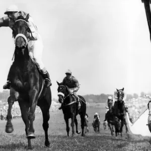 The Oaks at Epsom 1955 Print The Oaks at Epsom 1955 Print