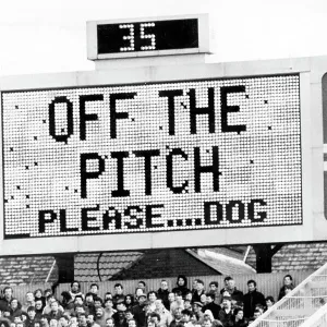 Off The Pitch Please Dog! Off The Pitch Please Dog!