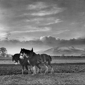 Ploughing in Lasswade, 1949