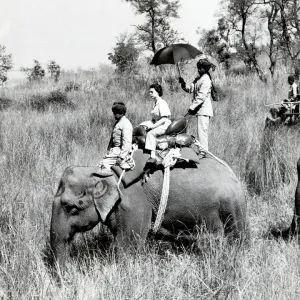 Queen Elizabeth II on Elephant Print