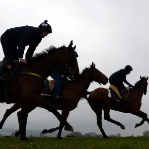 Northcliffe Collection Print: Morning Gallop of Thoroughbred Horses Northcliffe Collection Print: Morning Gallop of Thoroughbred Horses