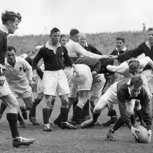 Scotland v England at Murrayfield 1948. Douglas Elliot watches Bill Black collect the ball after the scrum Scotland v England at Murrayfield 1948. Douglas Elliot watches Bill Black collect the ball after the scrum