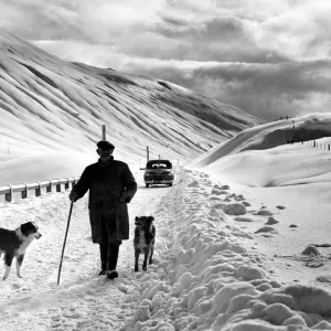 Shepherd in the Snow Print Shepherd in the Snow Print