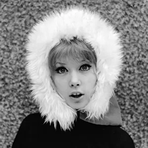 Sixties model, Pattie Boyd wearing fur hat
