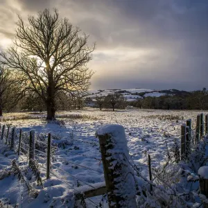Highland Snow Print: Colourful Landscape of Dingwall Hills Highland Snow Print: Colourful Landscape of Dingwall Hills