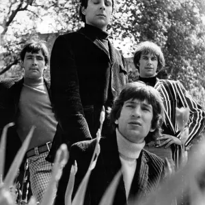 The Troggs, 1966 The Troggs, 1966