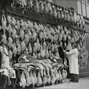 Turkeys for Christmas, 1946