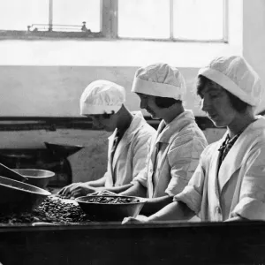 Workers at Frys Cocoa and Chocolate Works Workers at Frys Cocoa and Chocolate Works