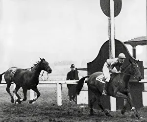 Racing Prints: The 1928 Grand National winner Tipperary Jim passes the post