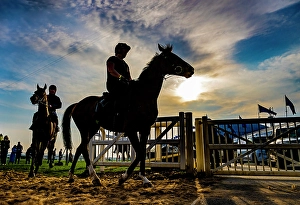 Racing Prints: 2025 Grand National Aintree