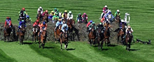 Racing Prints: 2025 Grand National Aintree