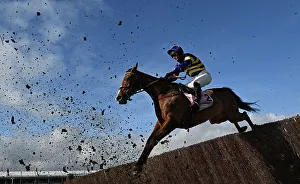 Horse Racing Prints: Action shot Cheltenham Festival week