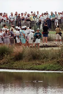 An alligator in the water as Seve Ballesteros drives off from the 9th tee in practice Ryder Cup at Kiawah Island 1991