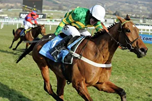 Horse Racing Prints: AP McCoy wins the Champion Hurdle on Binocular at Cheltenham 2010