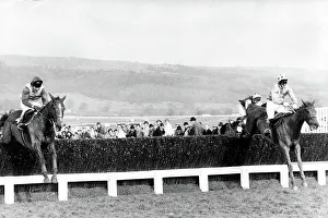 Horse Racing Prints: Cheltenham Gold Cup - Racehorse Bregawn ridden by G Bradley jumps the last (right) and goes on to win
