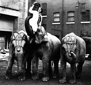 1920s Prints: Circus Elephants