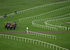 Horse Racing Prints: Coming round the bend Cheltenham Festival week