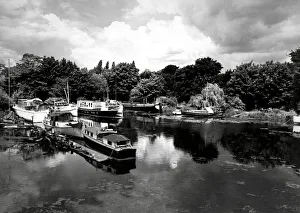 Thames Prints: Cubitts yacht basin on the Thames in Chiswick, London