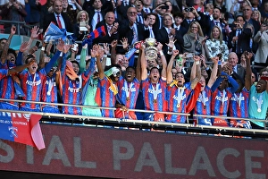 fa cup final 2025 crystal palace 1 manchester