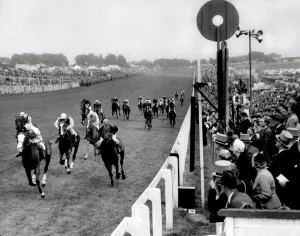 Horse Racing Prints: The finishing line of the Oaks race at Epsom 1953