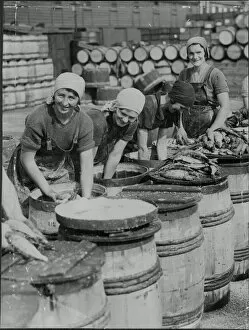 Images Dated 30th March 2020: Fish packers in 1933