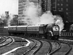 Trains Collection: The Flying Scotsman arriving at Londons Marylebone Station 1985